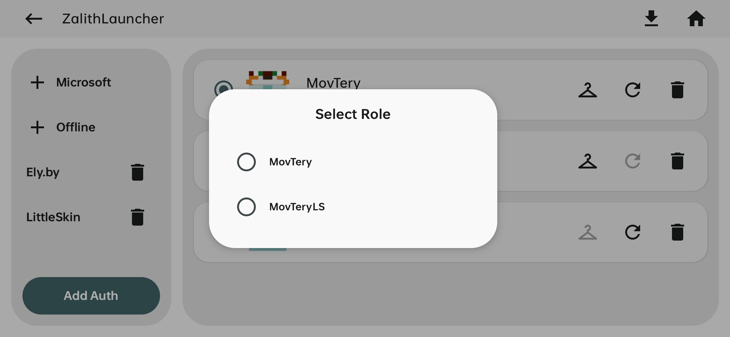 LittleSkin Role Selection