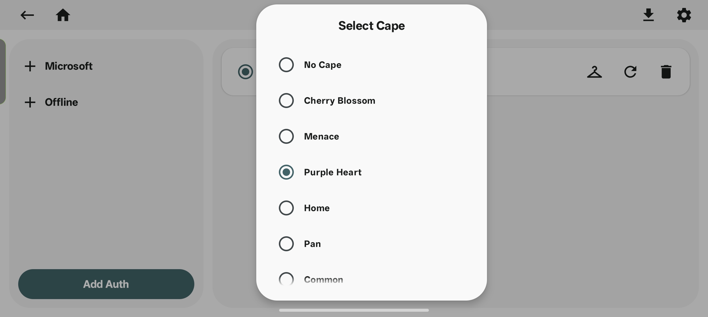 Choose Cape Interface