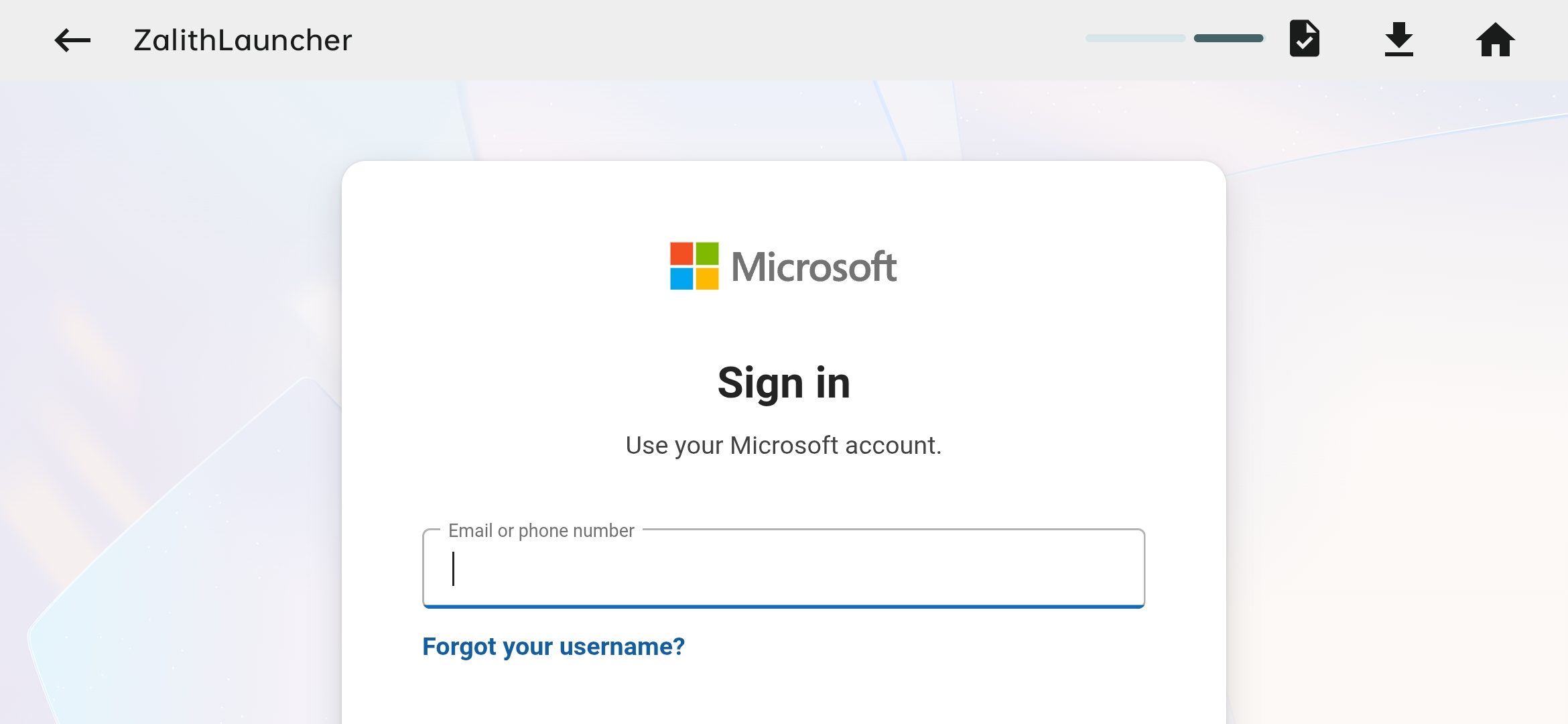 Microsoft Login